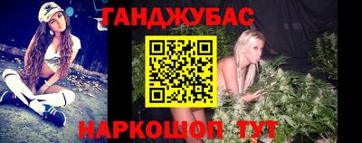 шишки Новозыбков