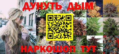 mdpv Обнинск