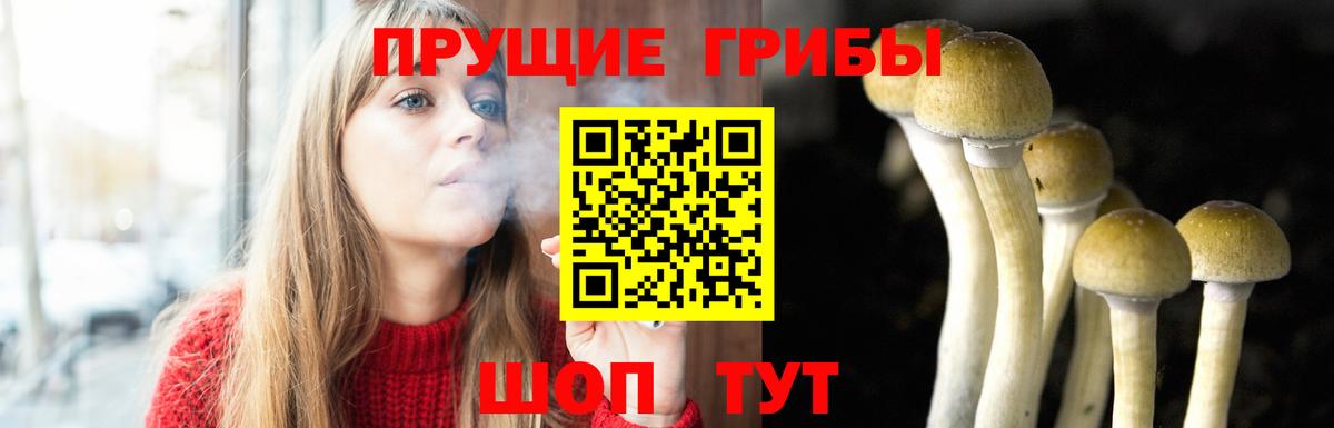 Ростов Великий  Псилоцибиновые грибы Psilocybine cubensis  Вход с VPN  Псилоцибиновые грибы Cubensis 